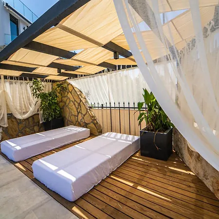 Hotel Eco Safran 4*